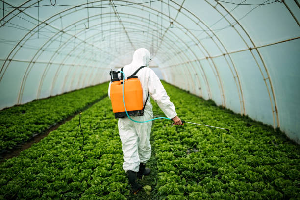 Best Local Pest Control Services  in Muldrow, OK