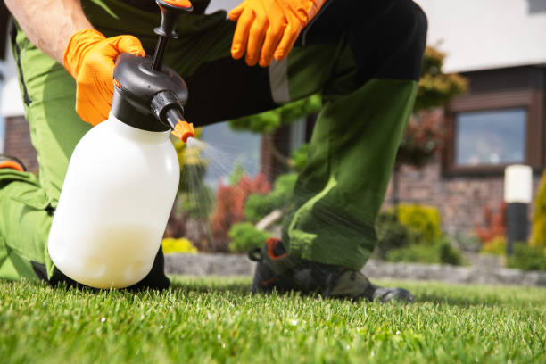 Best Bed Bug Extermination  in Muldrow, OK