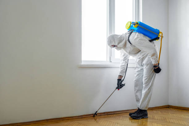 Best Pest Control Near Me  in Muldrow, OK