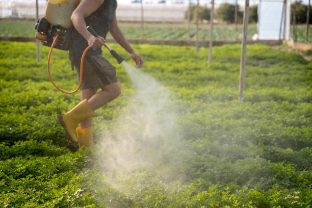 Best Pest Removal Services  in Muldrow, OK