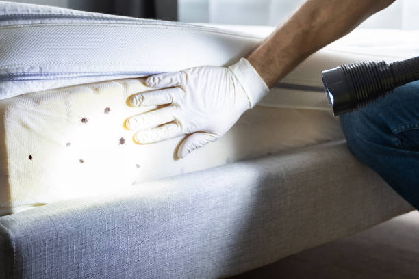 Best Pest Control Treatment  in Muldrow, OK