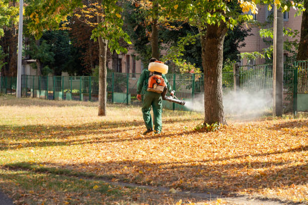 Best Emergency Pest Control  in Muldrow, OK