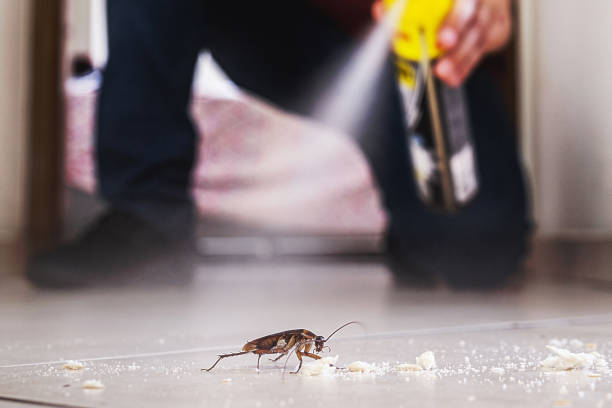 Best Best Pest Control Companies  in Muldrow, OK