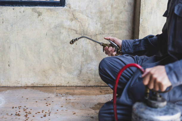 Reliable Muldrow, OK Pest Control Solutions